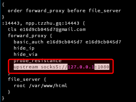 修改Caddyfile 添加 upstream 配置 Naive proxy 流量走Socks5出去