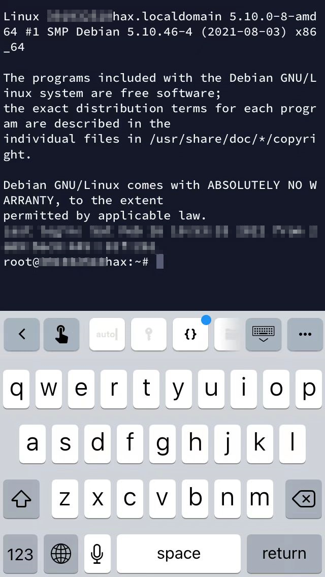 Termius 连接 Host 命令行界面