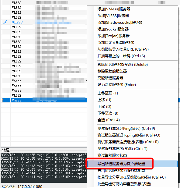 v2rayN导出客户端config.json配置文件