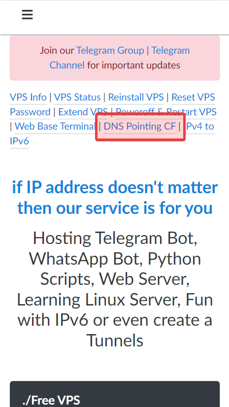 Hax DNS Pointing CF