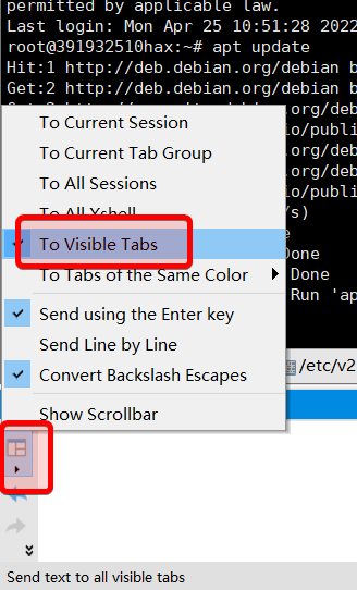 Xshell Compose Pane send commands to Visible Tabs Xshell 撰写窗格发送命令到可见标签